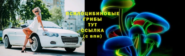 PSILOCYBIN Алексин