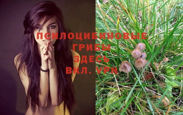 MESCALINE Алзамай