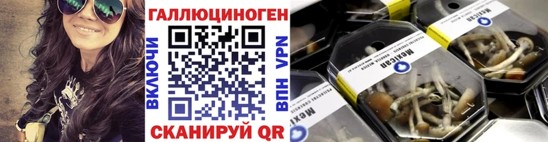 где купить наркоту  Нефтегорск  Псилоцибиновые грибы MAGIC MUSHROOMS 